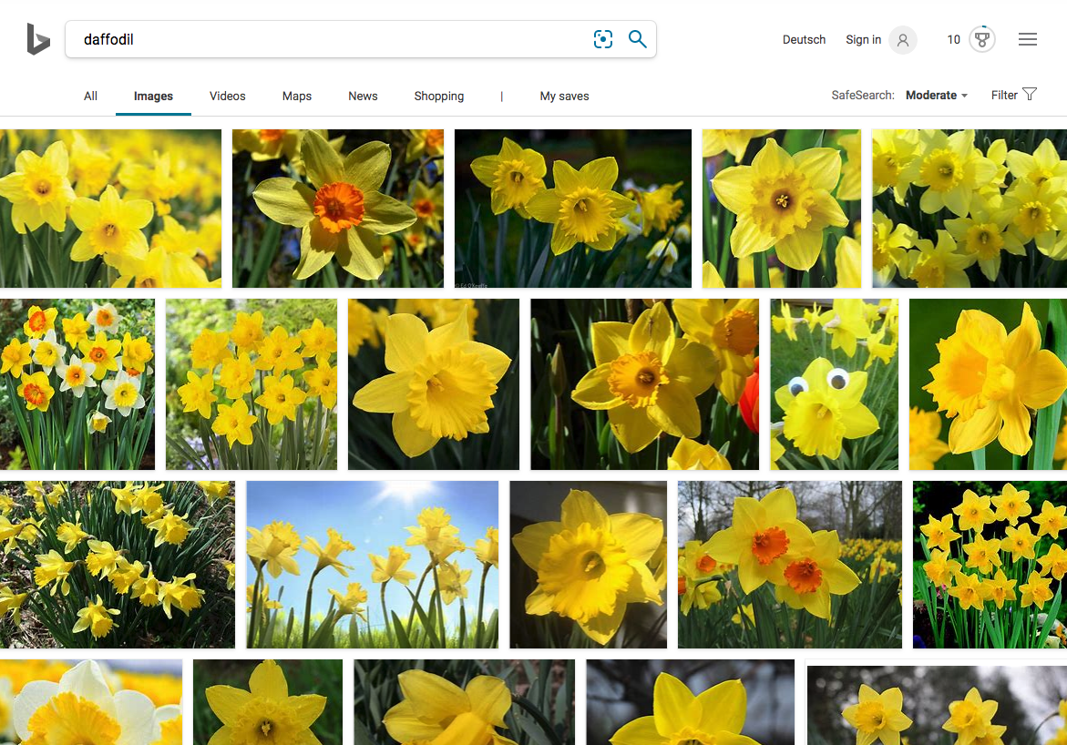 mejor motor de búsqueda de imágenes Bing