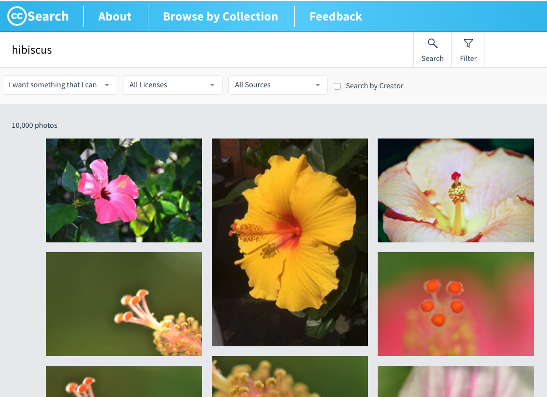 creative commons pentru motorul de căutare a imaginilor