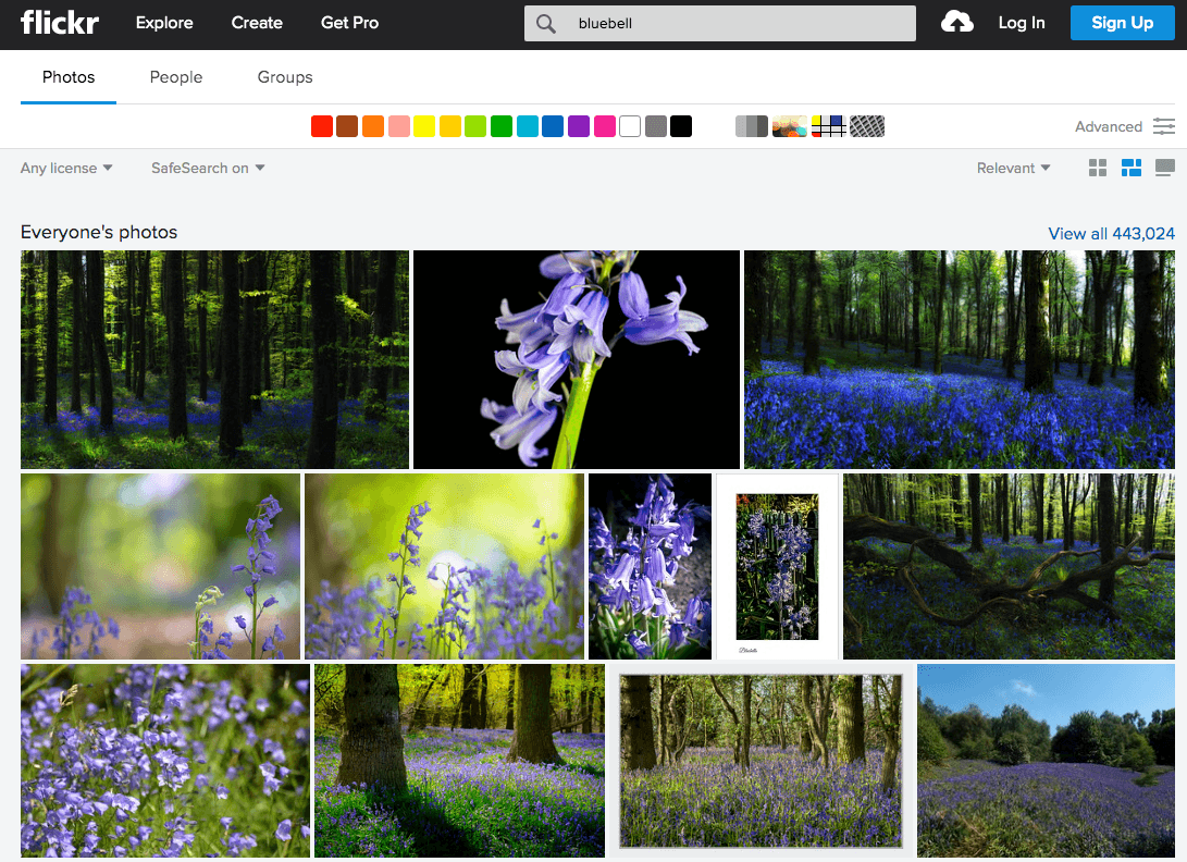 attēlu meklētājprogrammas Flickr