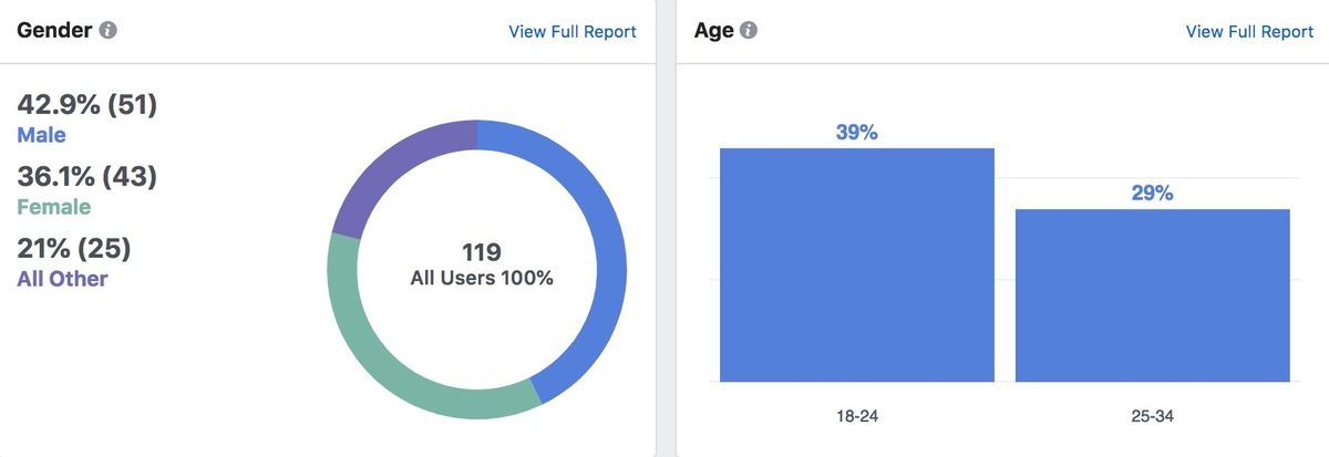 Демографска разбивка на Facebook analytics