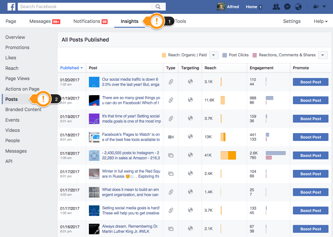 Facebook Page Insights - Публикации