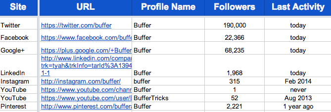 Puffer Social Media Audit